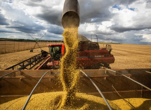 Agro.png