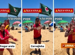 Bombeiros-revelam-o-que-usar-ao-encostar-em-agua-viva.jpg