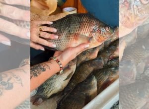 Tilapia-Semana-Santa.jpg