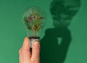 p5ITlYK5-meio-ambiente-sustentabilidade-empreendedorismo-verde